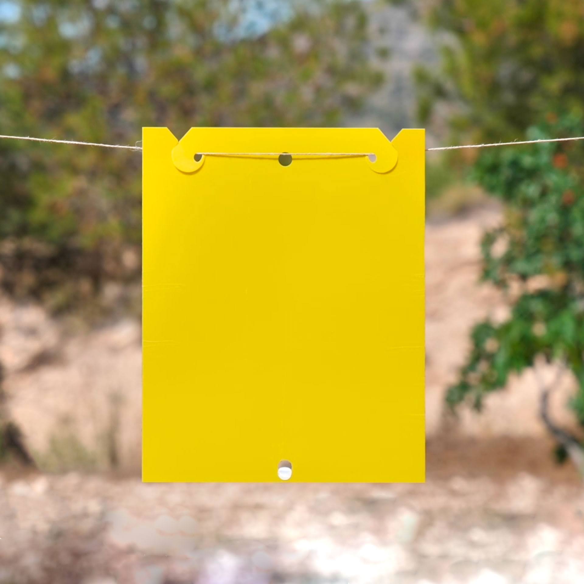 What Are Pest Control Traps and Why Should You Use Them in Greenhouse Farming?